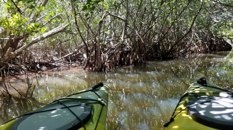 Untitled design (15)