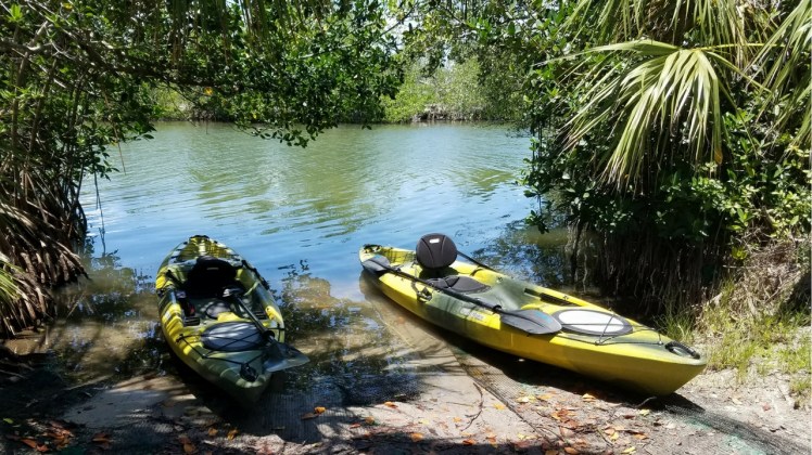 Untitled design (16)