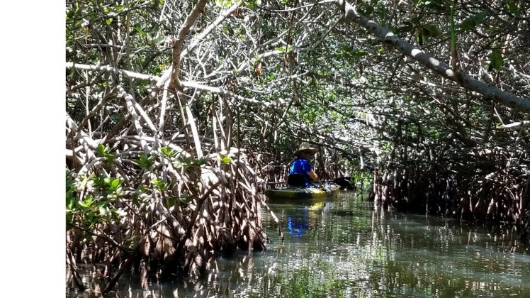 Untitled design (21)