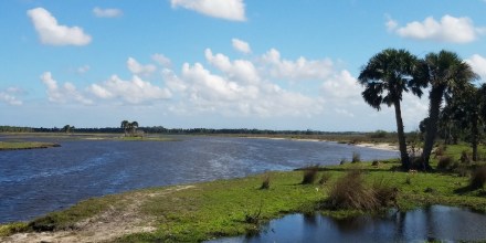 St Johns River at Tosohatchee WMA
