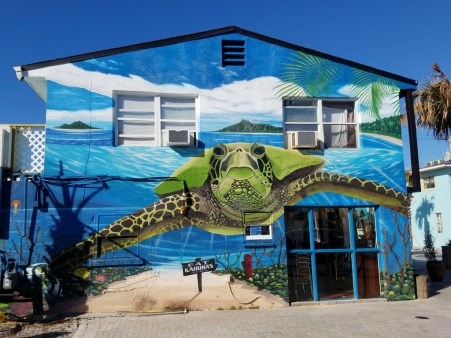 Fat Kahuna Cocoa Beach Sea Turtle Mural