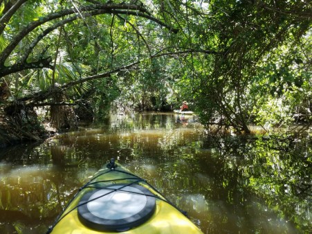 Untitled design (10)