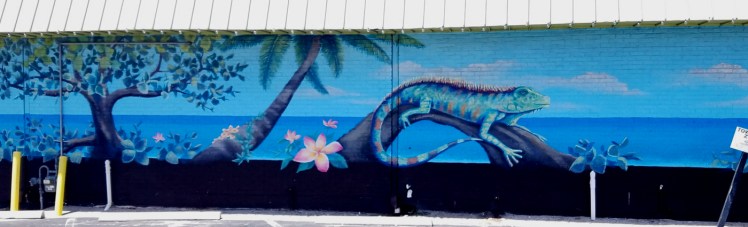 Cocoa Beach Insider Epic Burrito