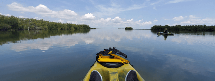Kayaking on the Banana River. Yellow sit on top kayaks. Mangrove Islands on either side.