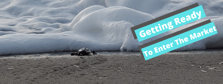Baby turtle heading into the ocean.