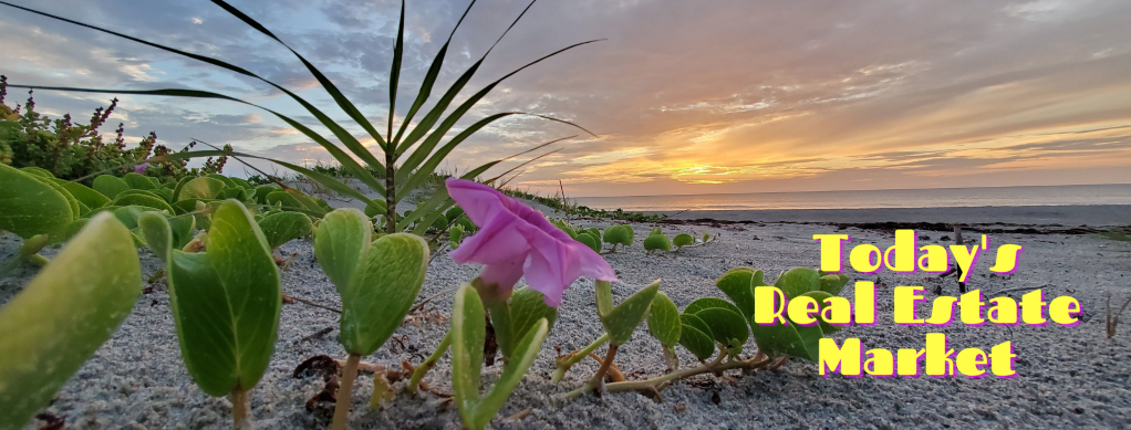 Cocoa Beach sunrise with a purple morning glory flower in bloom. caption says todays real estate market.