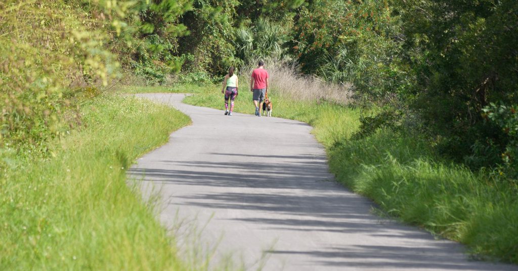 Viera has paths and sidewalks connecting the community. This is a section of the Linear Park near the Brevard Zoo showing the natural vegitation and a couple walking their dog.