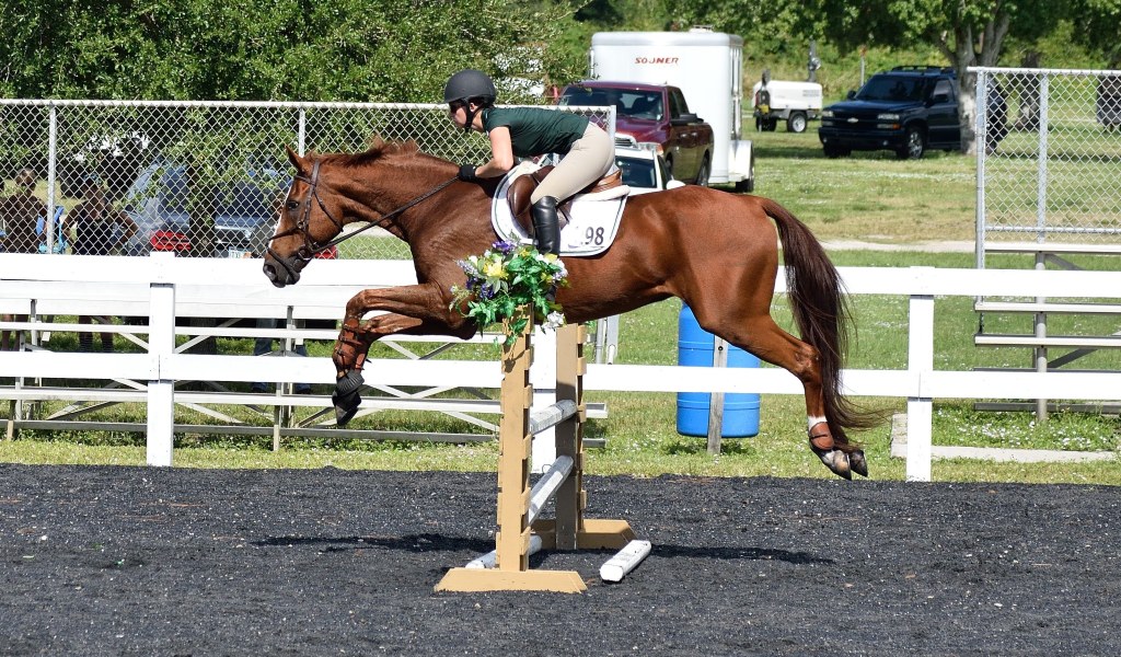 Wickham Park has an equestrian area. 