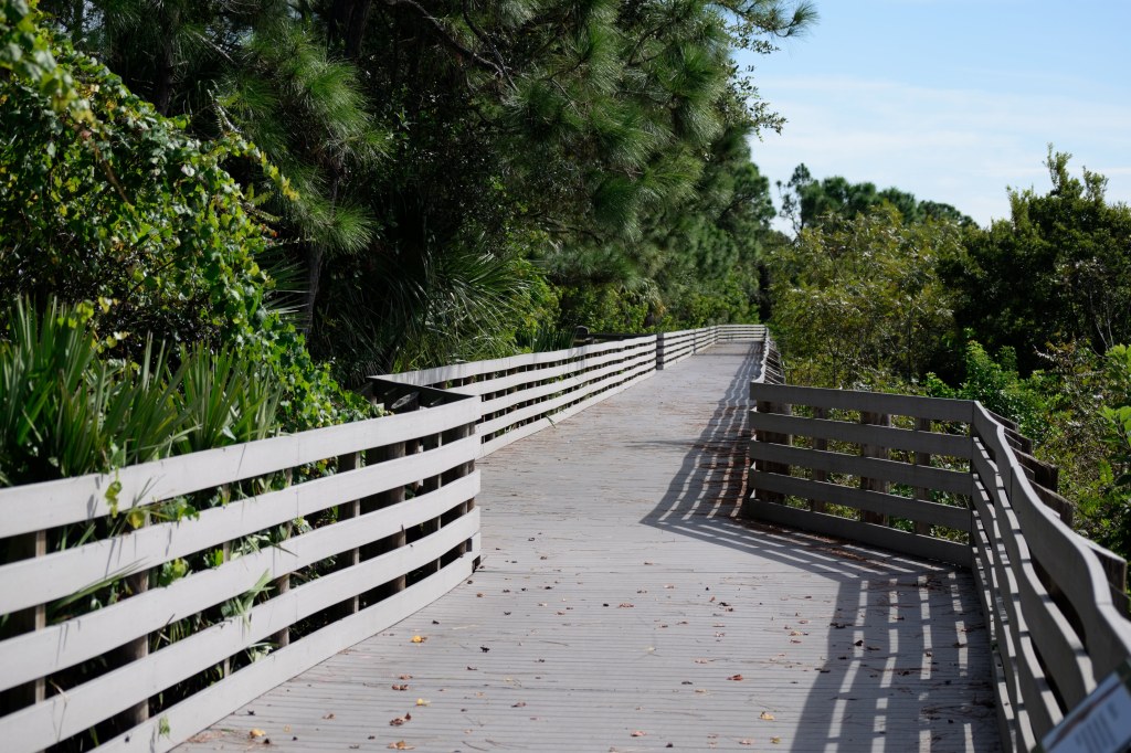 Brevard Zoo Linear Park Walkway/boardwalk