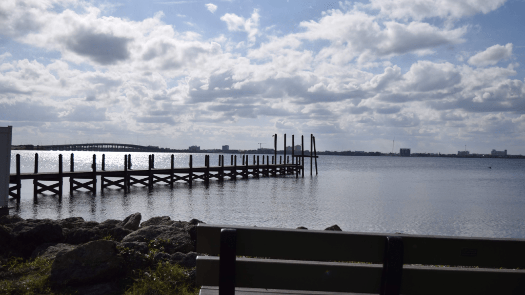 Views from Sunset Park