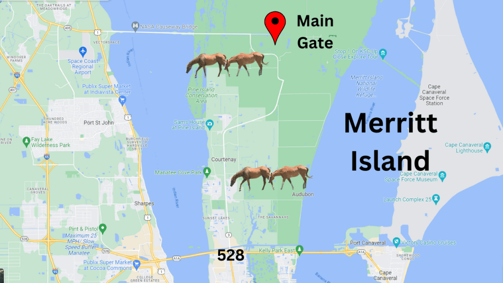Map view showing the 2 areas that are equestrian friendly in North Merritt Island