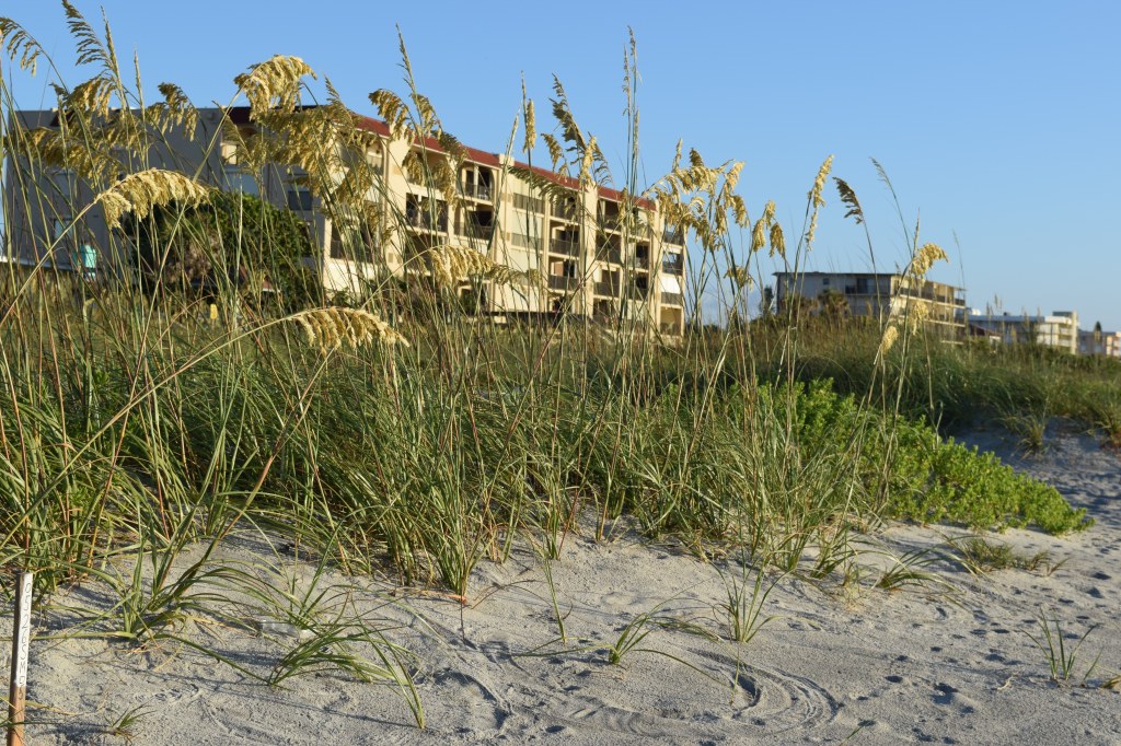 South Cocoa Beach Condo