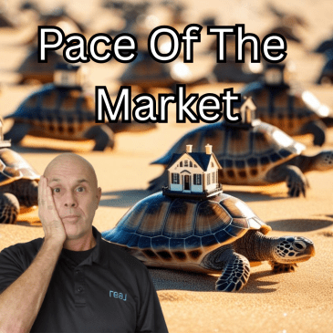 AI generated photo of turtles with homes n their backs