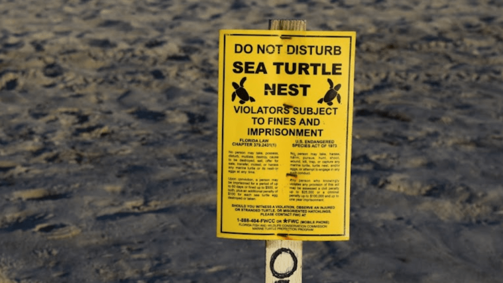 Please have your pups avoid the marked turtle nests