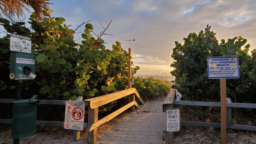 one of many public beach access points. this is 14th St South Cocoa Beach