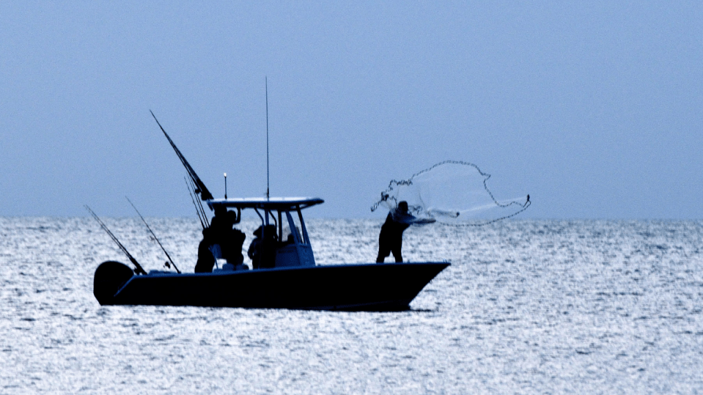 offshore fisherman casting a net