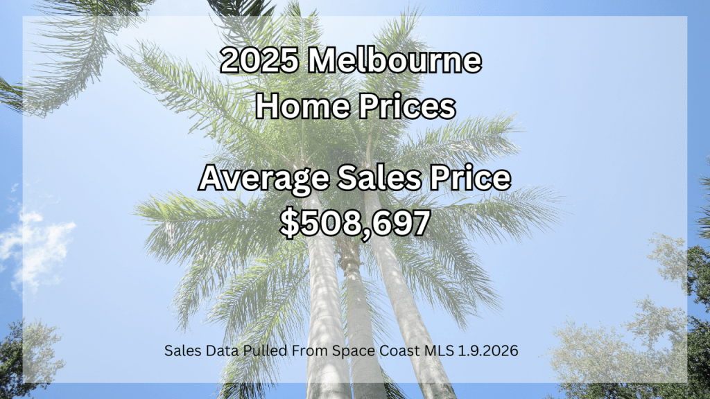 photo of a palm tree with text overlay