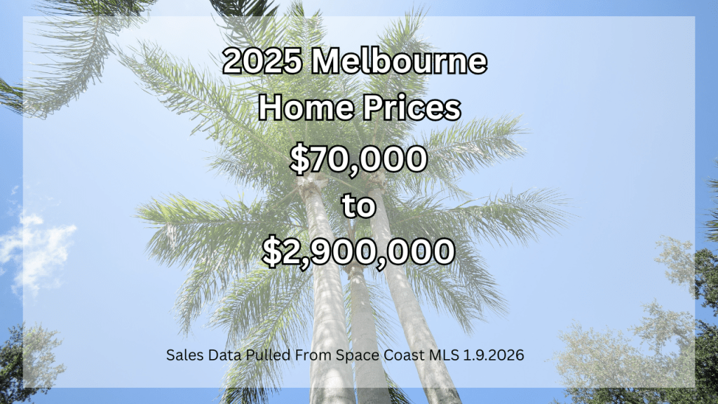 photo of a palm tree with text overlay