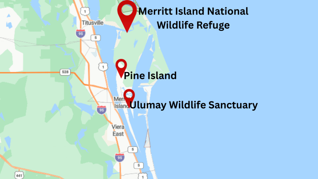 map showing the merritt island national wildlife refuge, the Ulumay wildlife sanctuary, and pine island.