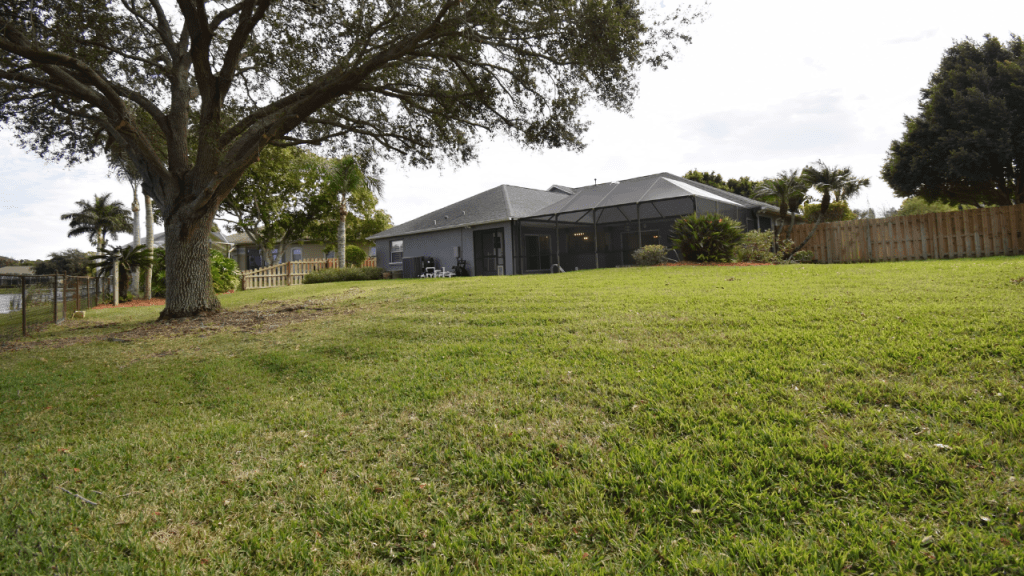 Large backyard photo