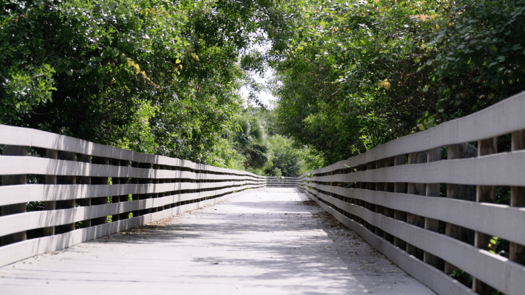 Brevard Zoo elevated walking trail