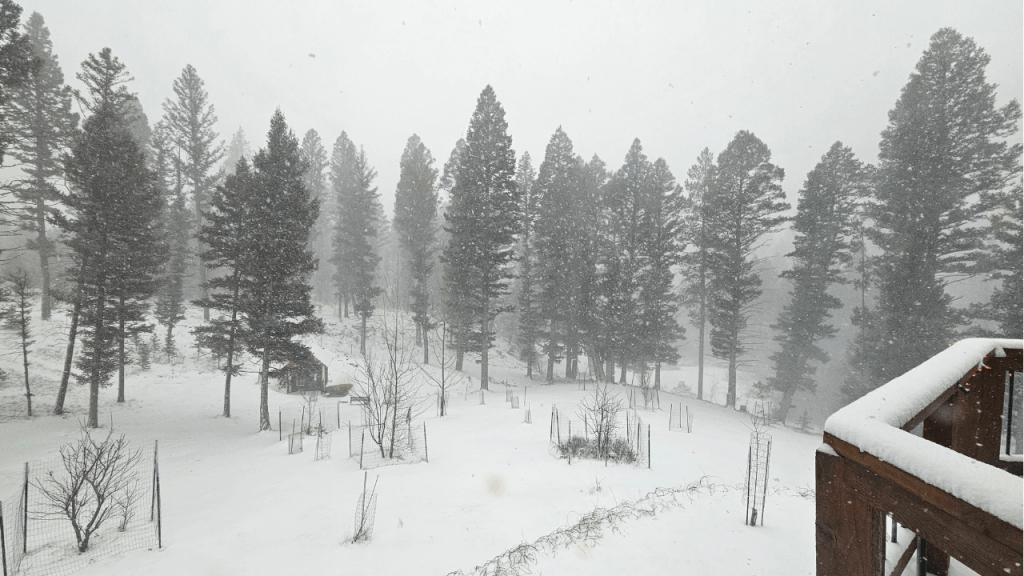 snowy day in Montana...something you wont deal with in Florida