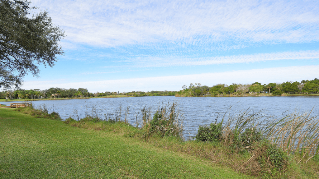 a large pond as an example of natural resources