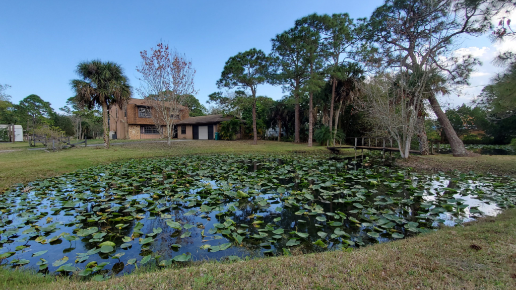 Larger lot home