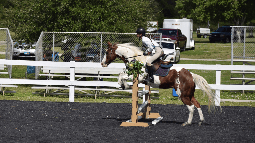 equestrian event at wickham park